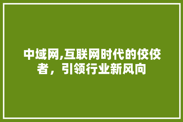 中域网,互联网时代的佼佼者，引领行业新风向
