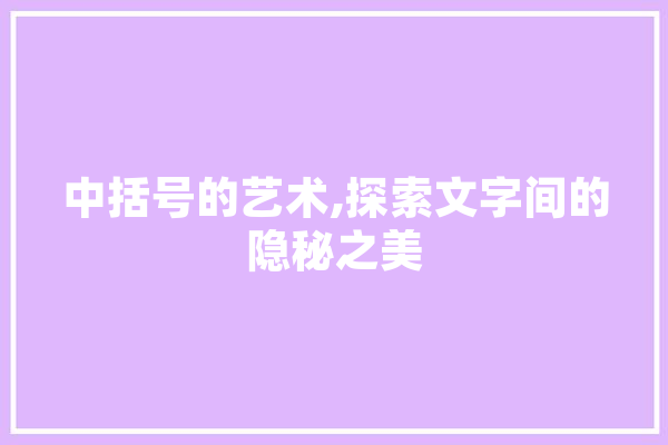 中括号的艺术,探索文字间的隐秘之美