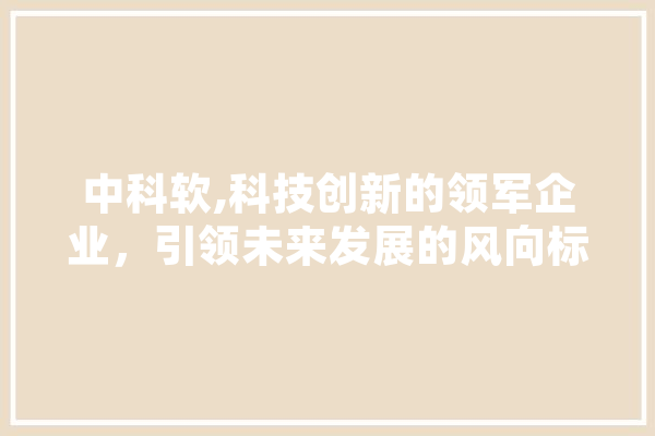 中科软,科技创新的领军企业，引领未来发展的风向标