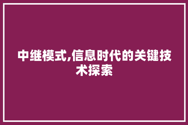 中继模式,信息时代的关键技术探索