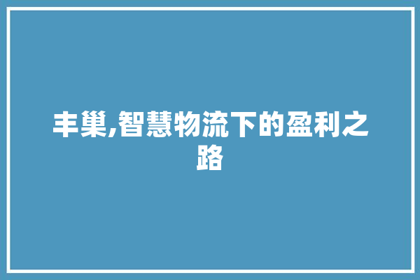 丰巢,智慧物流下的盈利之路