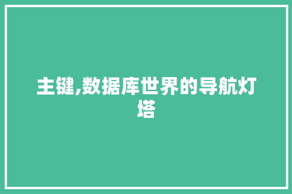 主键,数据库世界的导航灯塔