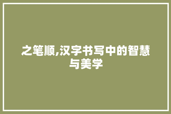 之笔顺,汉字书写中的智慧与美学