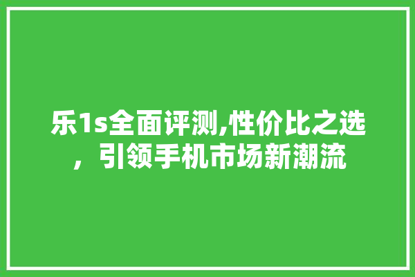 乐1s全面评测,性价比之选，引领手机市场新潮流