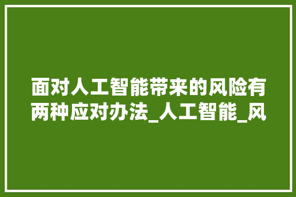 面对人工智能带来的风险有两种应对办法_人工智能_风险 绘影字幕