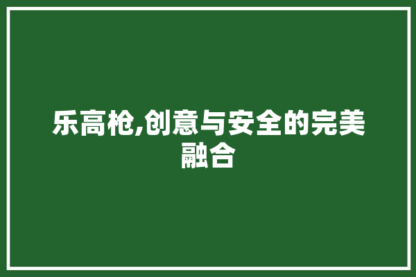 乐高枪,创意与安全的完美融合