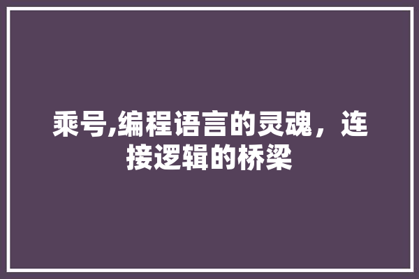 乘号,编程语言的灵魂，连接逻辑的桥梁