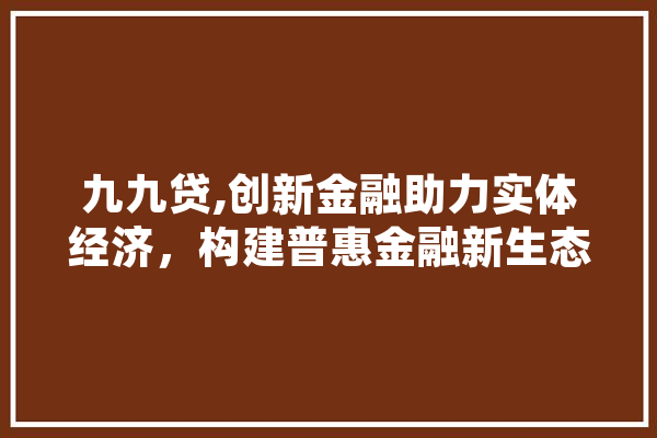 九九贷,创新金融助力实体经济，构建普惠金融新生态