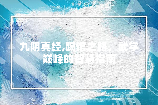 九阴真经,踢馆之路，武学巅峰的智慧指南 绘影字幕