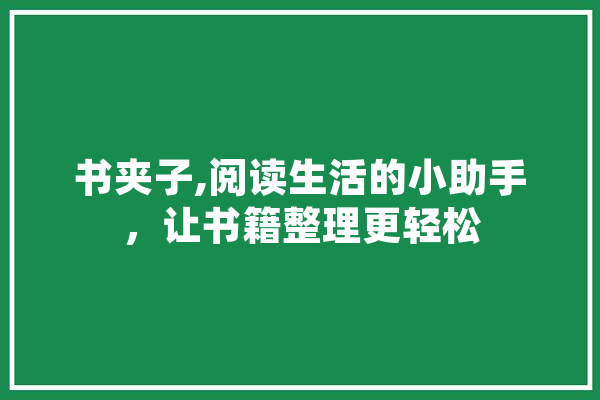 书夹子,阅读生活的小助手，让书籍整理更轻松 AI快讯
