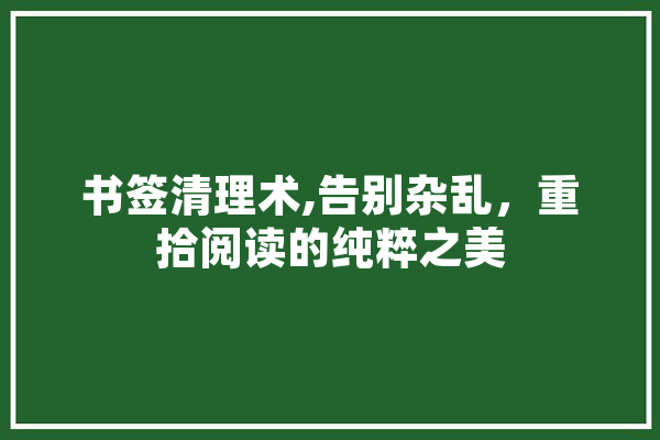 书签清理术,告别杂乱，重拾阅读的纯粹之美