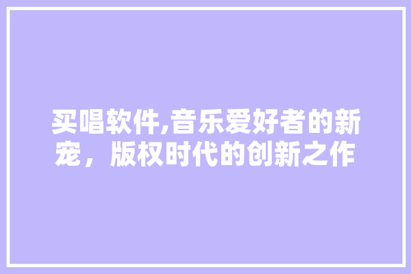 买唱软件,音乐爱好者的新宠，版权时代的创新之作 计算机