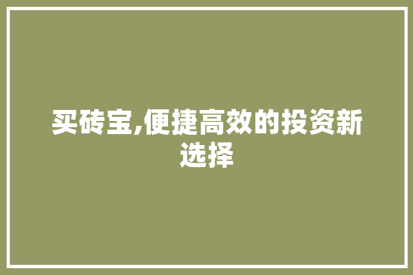 买砖宝,便捷高效的投资新选择