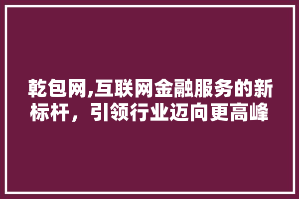 乾包网,互联网金融服务的新标杆，引领行业迈向更高峰 云服务