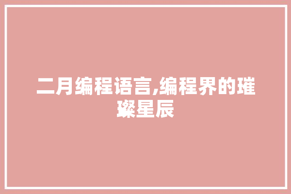 二月编程语言,编程界的璀璨星辰