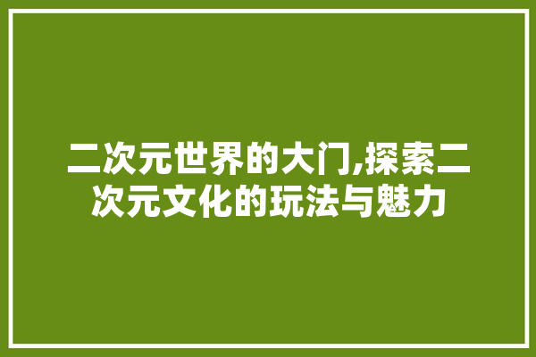 二次元世界的大门,探索二次元文化的玩法与魅力