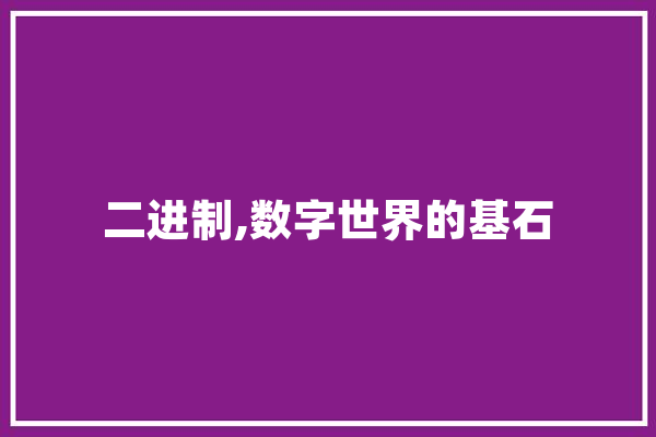 二进制,数字世界的基石