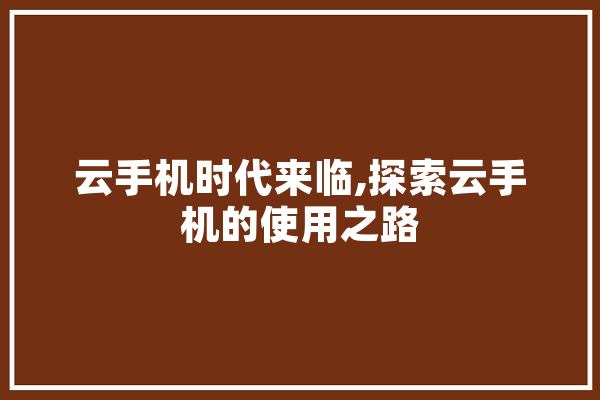 云手机时代来临,探索云手机的使用之路