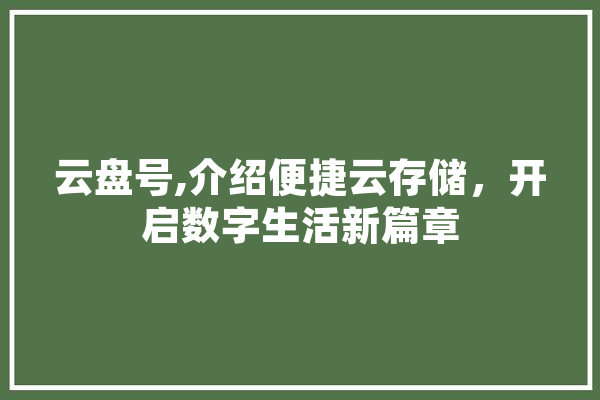 云盘号,介绍便捷云存储，开启数字生活新篇章 绘影字幕