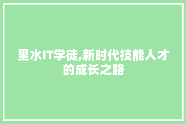 里水IT学徒,新时代技能人才的成长之路