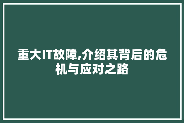 重大IT故障,介绍其背后的危机与应对之路