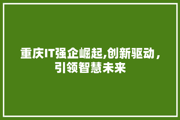 重庆IT强企崛起,创新驱动，引领智慧未来