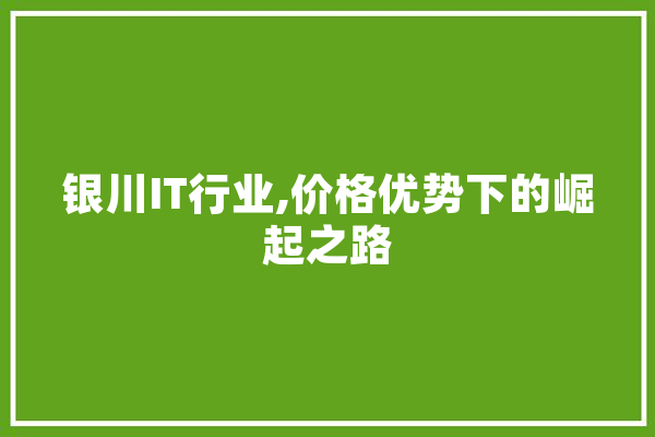银川IT行业,价格优势下的崛起之路