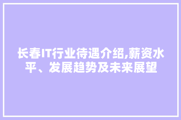 长春IT行业待遇介绍,薪资水平、发展趋势及未来展望