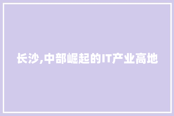长沙,中部崛起的IT产业高地