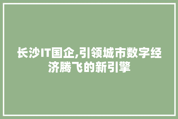 长沙IT国企,引领城市数字经济腾飞的新引擎