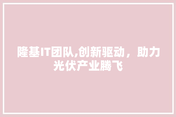 隆基IT团队,创新驱动，助力光伏产业腾飞