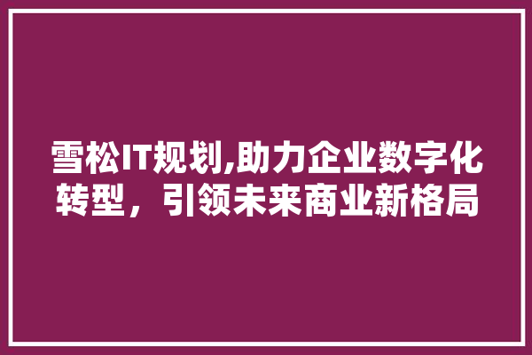 雪松IT规划,助力企业数字化转型，引领未来商业新格局