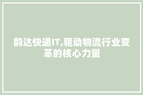 韵达快递IT,驱动物流行业变革的核心力量