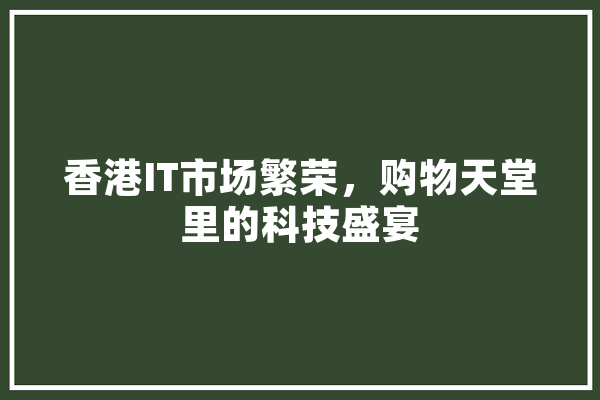 香港IT市场繁荣，购物天堂里的科技盛宴