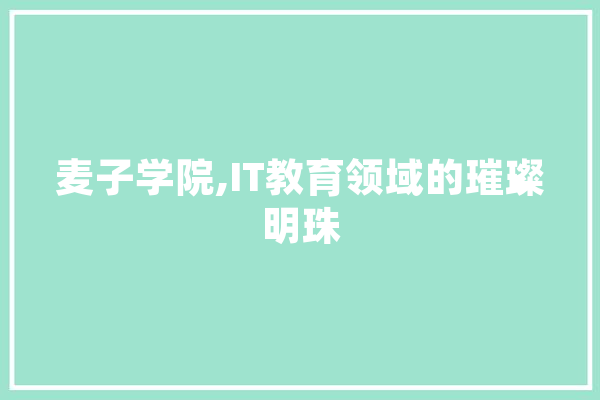麦子学院,IT教育领域的璀璨明珠