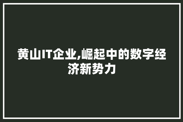 黄山IT企业,崛起中的数字经济新势力 绘影字幕