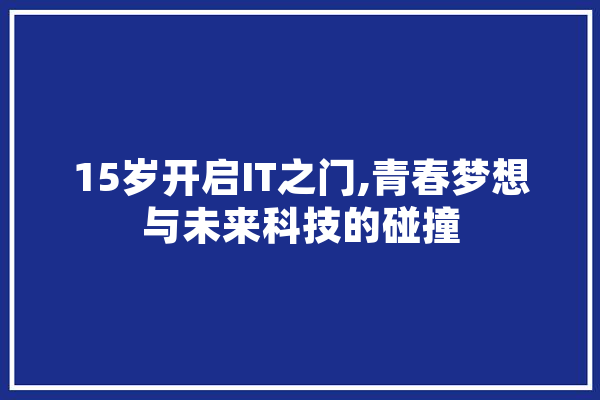 15岁开启IT之门,青春梦想与未来科技的碰撞