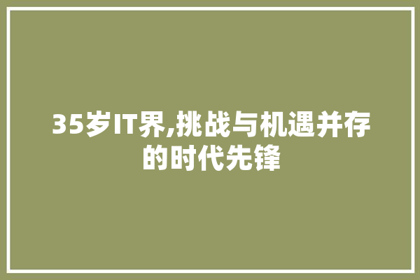 35岁IT界,挑战与机遇并存的时代先锋 AI快讯
