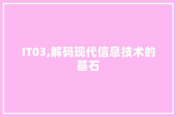 IT03,解码现代信息技术的基石