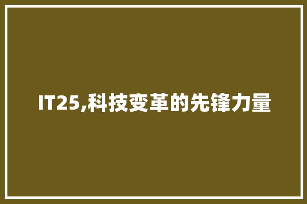 IT25,科技变革的先锋力量