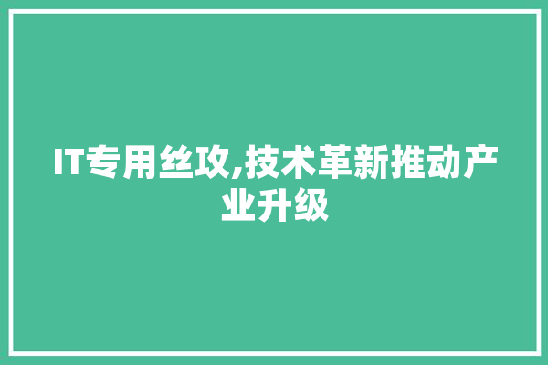 IT专用丝攻,技术革新推动产业升级