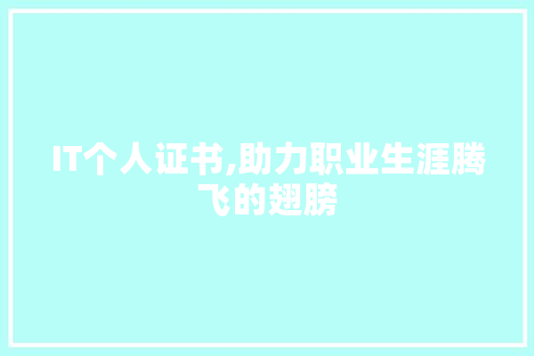 IT个人证书,助力职业生涯腾飞的翅膀