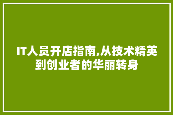 IT人员开店指南,从技术精英到创业者的华丽转身