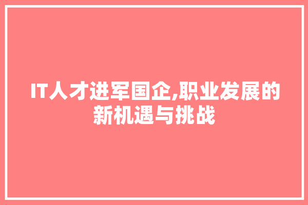 IT人才进军国企,职业发展的新机遇与挑战