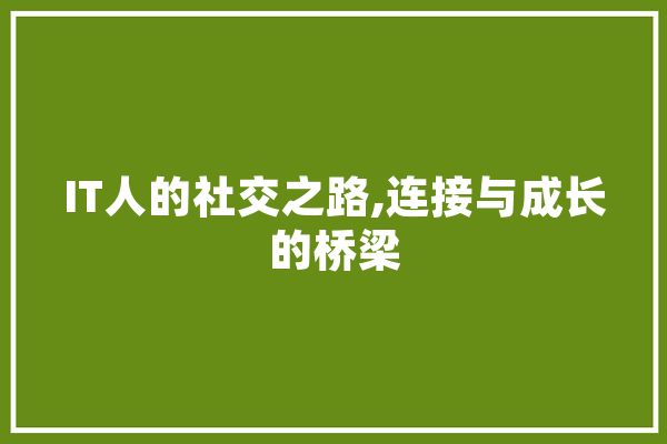 IT人的社交之路,连接与成长的桥梁 AI简讯