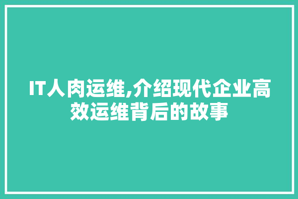 IT人肉运维,介绍现代企业高效运维背后的故事