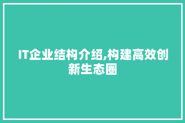 IT企业结构介绍,构建高效创新生态圈
