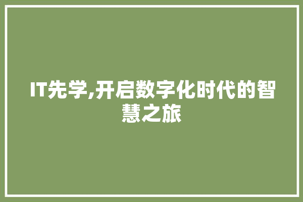 IT先学,开启数字化时代的智慧之旅