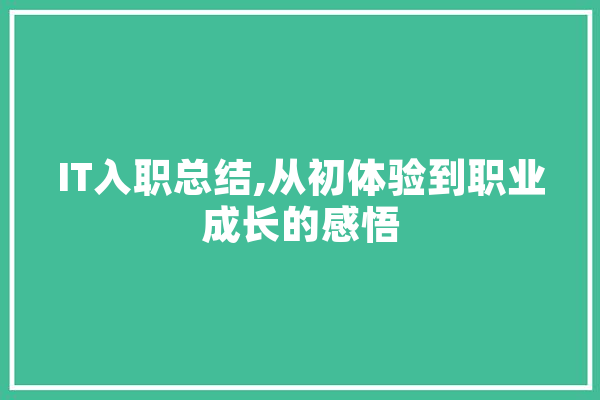 IT入职总结,从初体验到职业成长的感悟