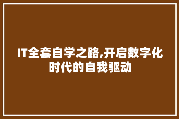 IT全套自学之路,开启数字化时代的自我驱动